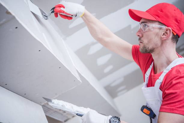 Best Drywall Crack Repair  in Seeley Lake, MT